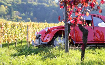 Séjour linguistique en Bourgogne